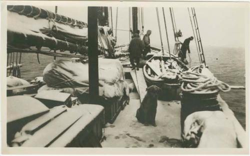 Arctic Voyage of Schooner Polar Bear - Deck covered with ice and snow