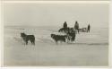 Arctic Voyage of Schooner Polar Bear - Dog sled teams