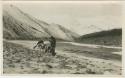 Arctic Voyage of Schooner Polar Bear - Dog sled moving across ice