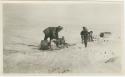 Arctic Voyage of Schooner Polar Bear - Dog sled in the snow