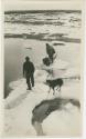 Arctic Voyage of Schooner Polar Bear - Two men and dog standing on ice