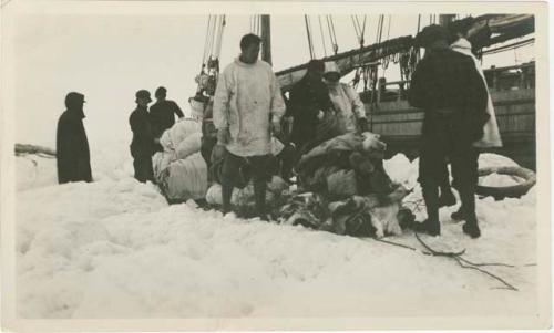 Arctic Voyage of Schooner Polar Bear - Crew loading sled