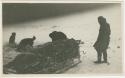 Arctic Voyage of Schooner Polar Bear - Dog sled