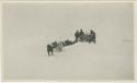 Arctic Voyage of Schooner Polar Bear - Dog sled team moving through the snow