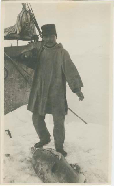 Arctic Voyage of Schooner Polar Bear - Member of the hunting party cutting seal