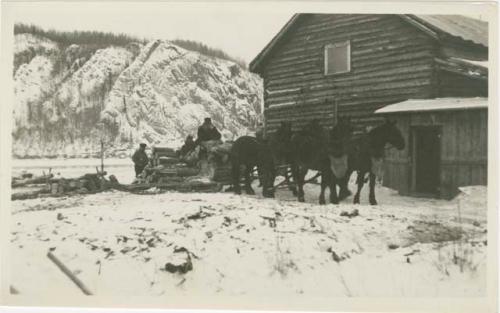 Arctic Voyage of Schooner Polar Bear - Horses pulling logs next to cabin