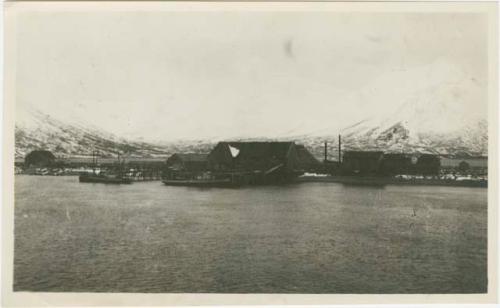 Arctic Voyage of Schooner Polar Bear - View of King Cove