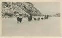 Arctic Voyage of Schooner Polar Bear - Dog sled team