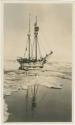 Arctic Voyage of Schooner Polar Bear - Schooner Elvira