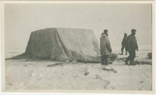 Arctic Voyage of Schooner Polar Bear - Crew standing in the snow