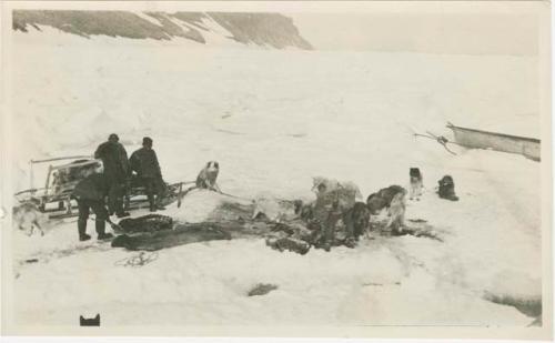 Arctic Voyage of Schooner Polar Bear - Dog sled teams