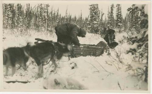 Arctic Voyage of Schooner Polar Bear - Dog sled in the snow