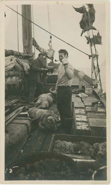 Arctic Voyage of Schooner Polar Bear - Samuel Mixter and Dunbar Lockwood with two mountain sheep