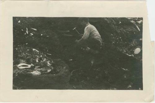 Arctic Voyage of Schooner Polar Bear - Dunbar Lockwood digging out a walrus skull, St. Lawrence Island