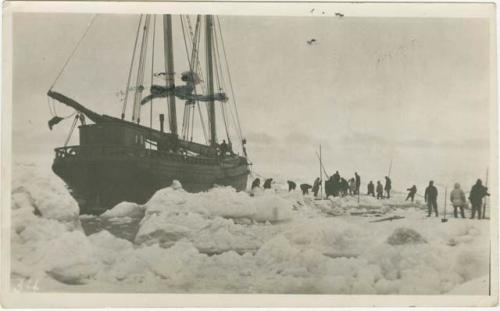 Arctic Voyage of Schooner Polar Bear - Polar Bear stuck in ice