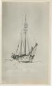 Arctic Voyage of Schooner Polar Bear - View of Elvira