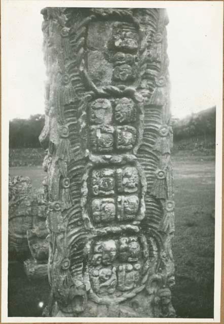 Detailed view of Mayan stela