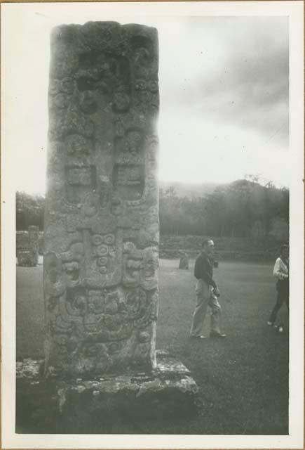 Mayan stela