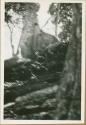 Blurry image of stone foundation and trees