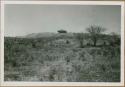 The big mound at Yarumela