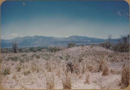 Yarumela landscape