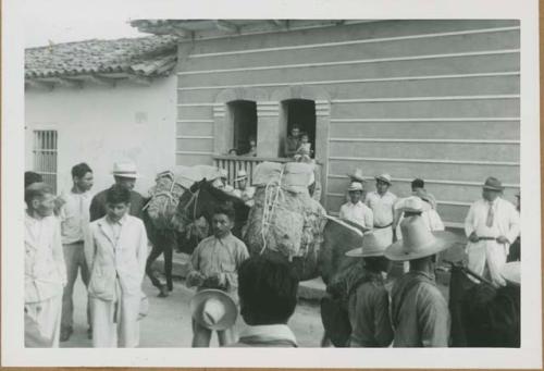 Intibucá crowd with donkeys