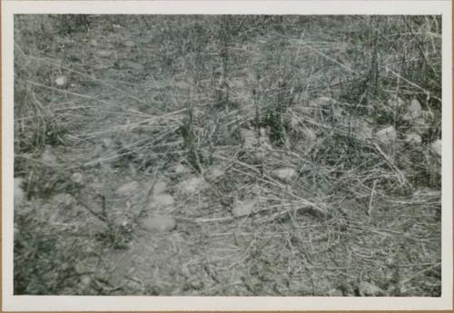 Honduras Landscape