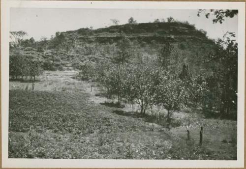 Palo Blanco landscape