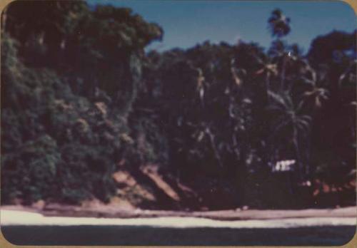 View of Isla del Caño shore