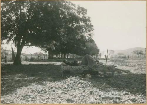 Clearing where E.B. Lothrop is reading