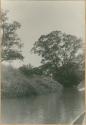 View of a river in Panama