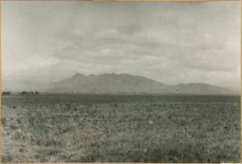 Plains near Palo Verde, Mountains of Veraguas