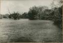 View of river in Panama