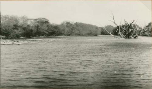 Attempt at panoramic view (right) of river in Panama