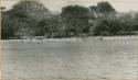 Attempt at panoramic view (left) of river in Panama