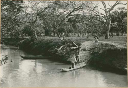 Swimming horses across the Rio Grande