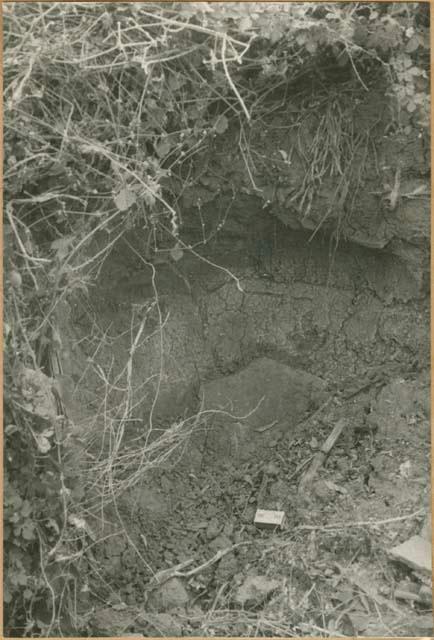 Large jar cache near Natá