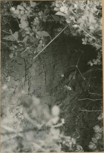 Large jar cache near Natá