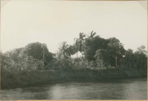 View of river in Panama, possibly Rio Grande