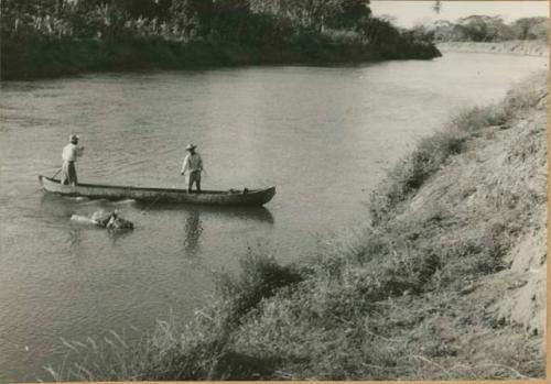 Moving horse across river in Panama, possibly Rio Grande