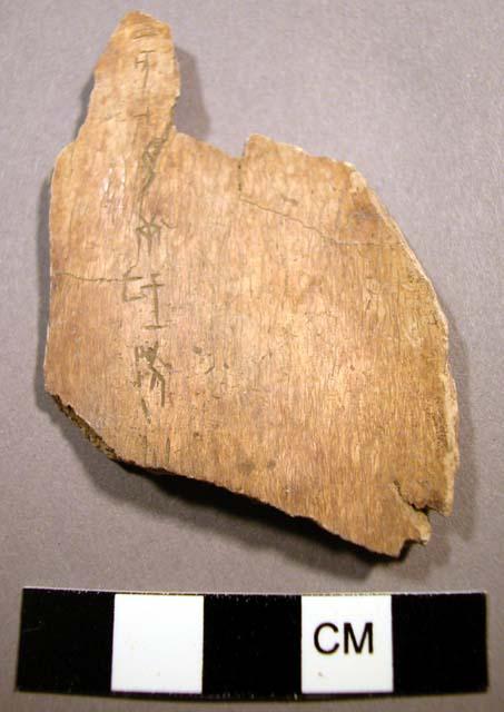 Fragmentary "oracle bones"