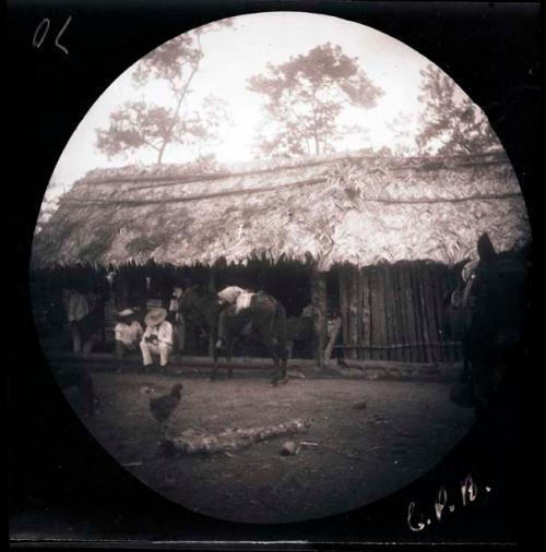 People and animals in front of building