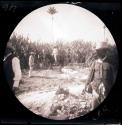 A group of men in a field of tall plants