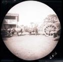 A cart and team of oxen in front of building