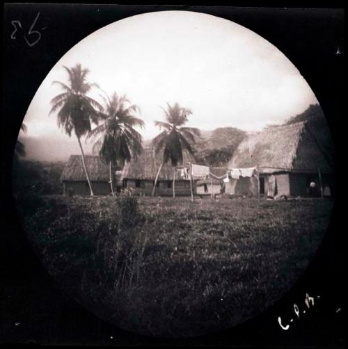 Group of thatched-roof buildings