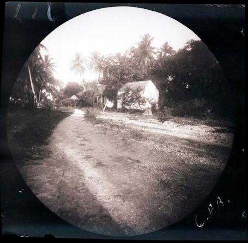 Road with buildings and trees