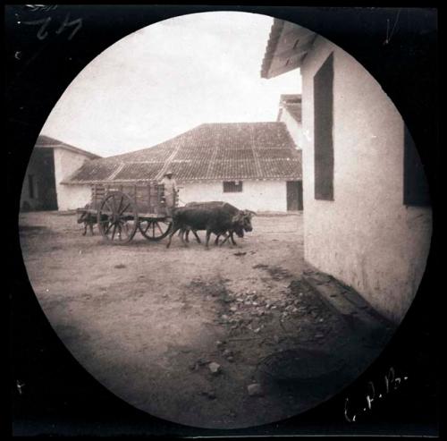 Buildings with oxen and cart