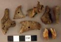Organic, faunal remains, teeth and perforated bone fragments, possible ornaments