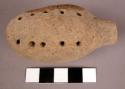 Hollow clay object with rows of perforations-rattle?