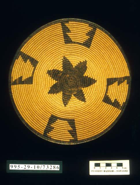 Coiled circular plate basket of willow with flaring sides and star motif